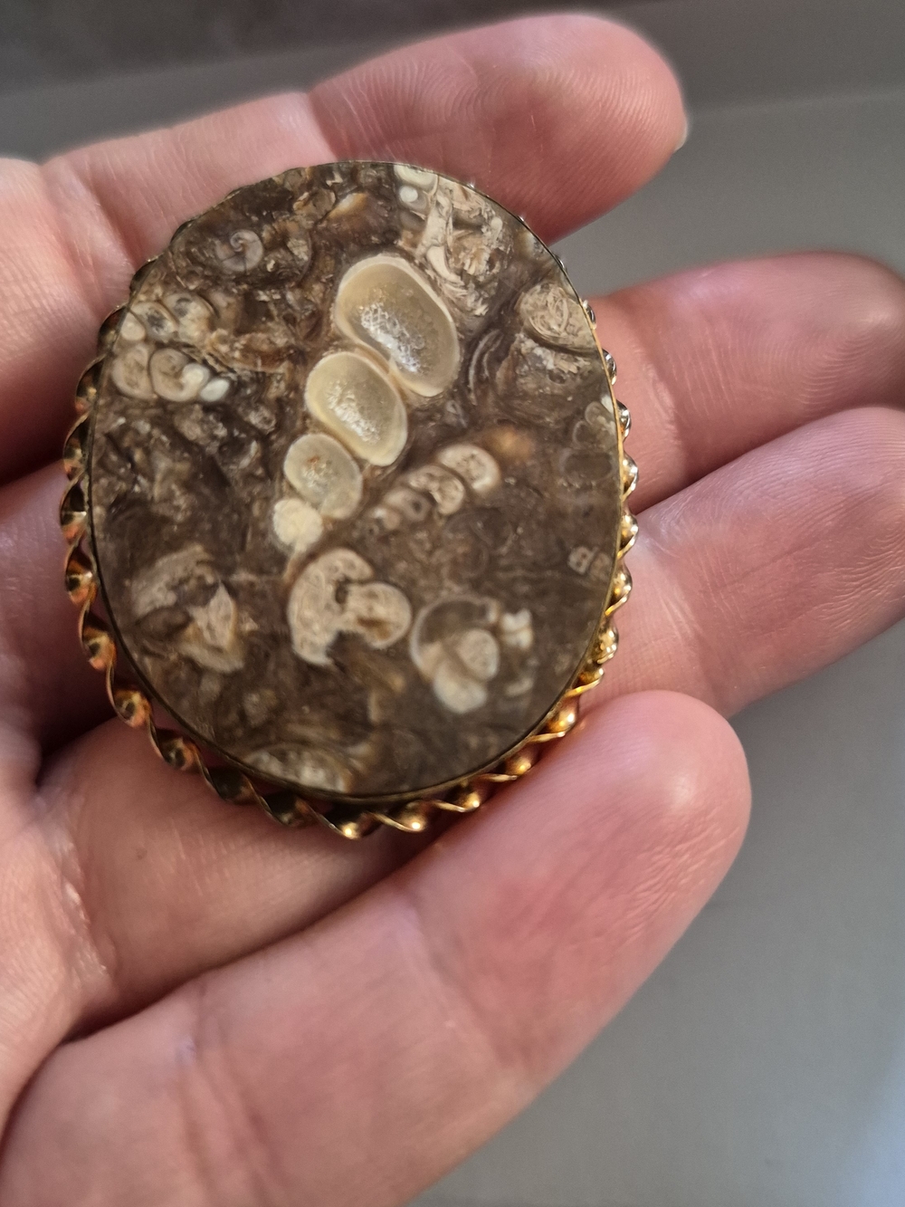 Vintage Turritella Agate Brooch 1/20 12k Gold Plated